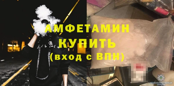 крисы Абаза