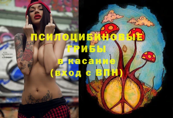 ГАЛЛЮЦИНОГЕННЫЕ ГРИБЫ Абдулино