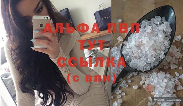 крисы Абаза
