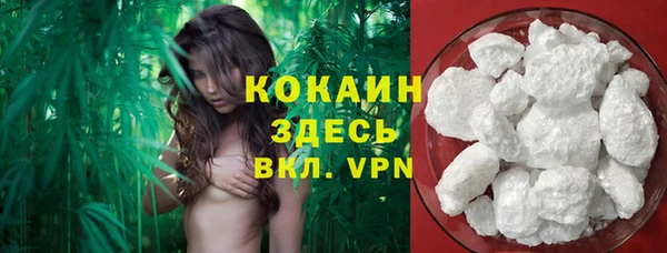 ГАЛЛЮЦИНОГЕННЫЕ ГРИБЫ Абдулино
