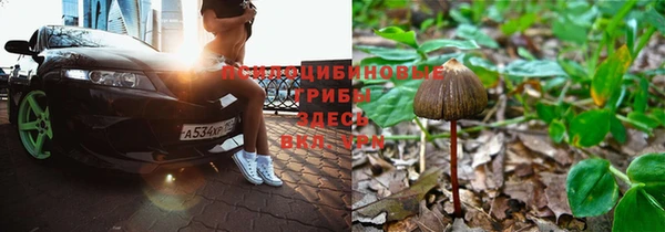 амфетамин Алексеевка