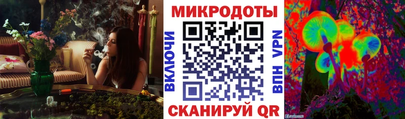 Галлюциногенные грибы MAGIC MUSHROOMS  наркота  Заволжье 